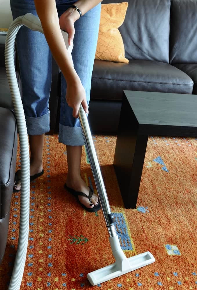women using central vacuum to clean a living room rug.