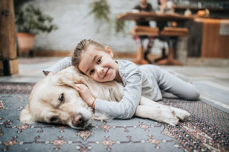 child with golden retriever laying on an area rug.