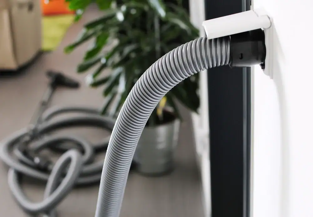 A close-up of a central vacuum hose plugged into a wall inlet, with a coiled hose and vacuum head visible in the background, and a potted plant nearby on a carpeted floor—perfect for homes using central vacuum systems Long Island, NY.