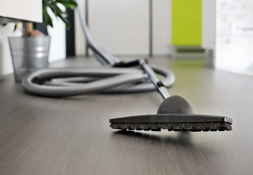 A vacuum cleaner hose and brush attachment lie on a modern wooden floor in a bright room, highlighting the convenience of a Central Vacuum System in Long Island, NY, with a plant in a metal pot visible in the background.